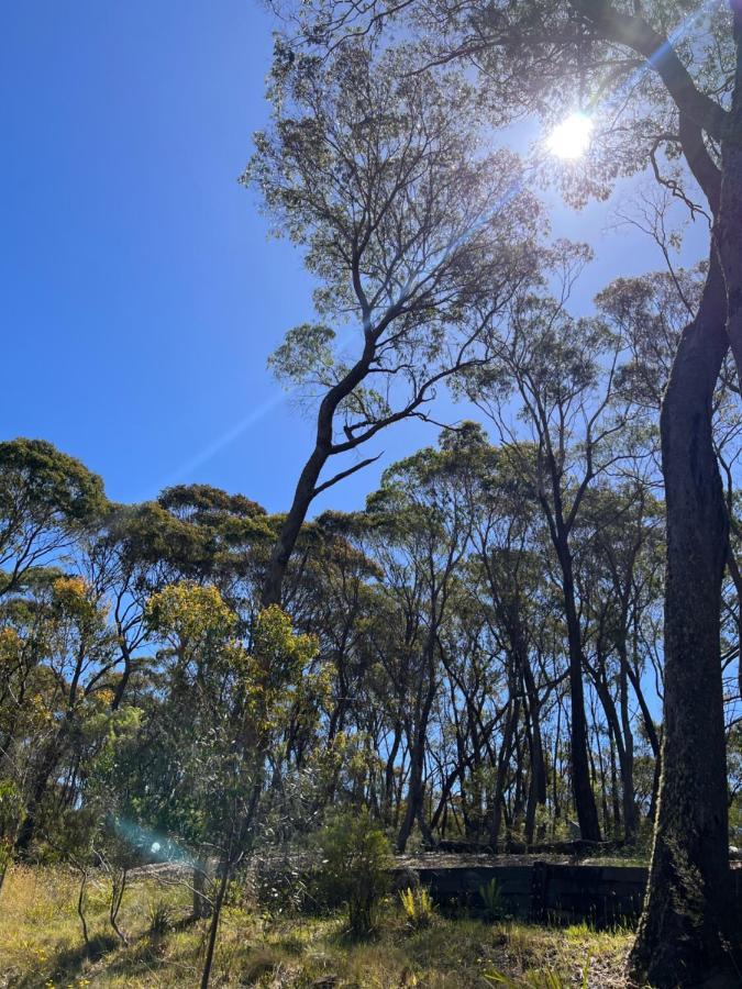 Katoomba Hideaway - Free Wifi, Netflix, Disney Plus Exterior foto